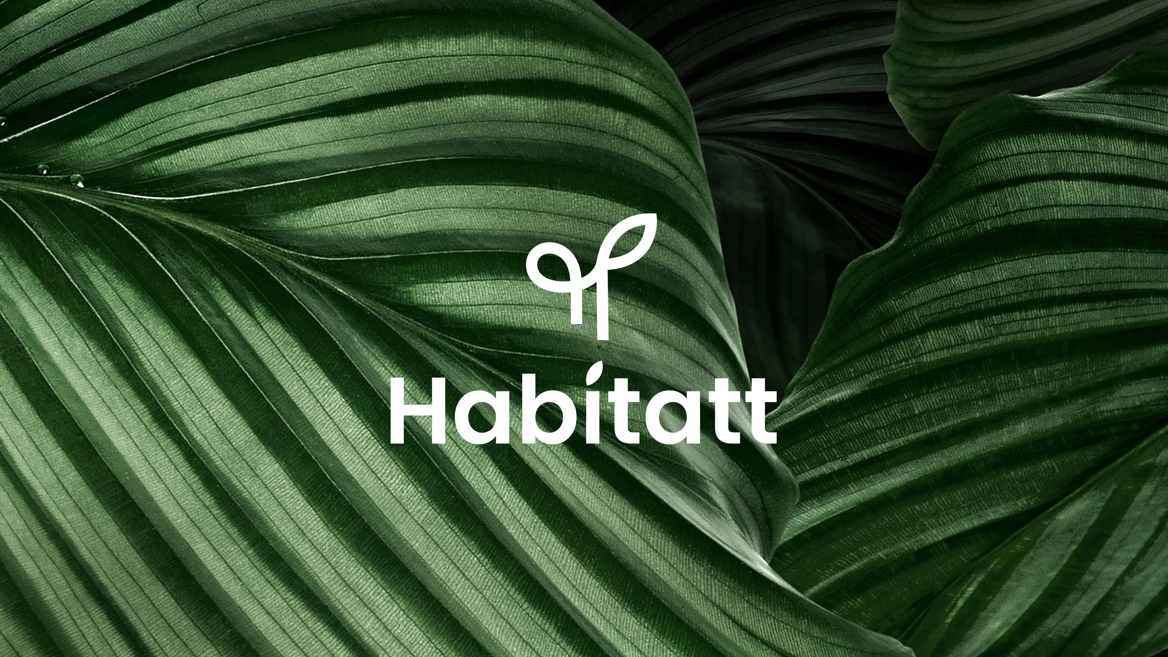 The Habitatt logo over large green leaves