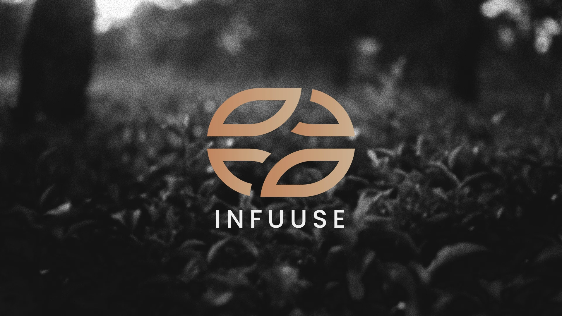 The INFUUSE mark in copper over a field of tea leaves