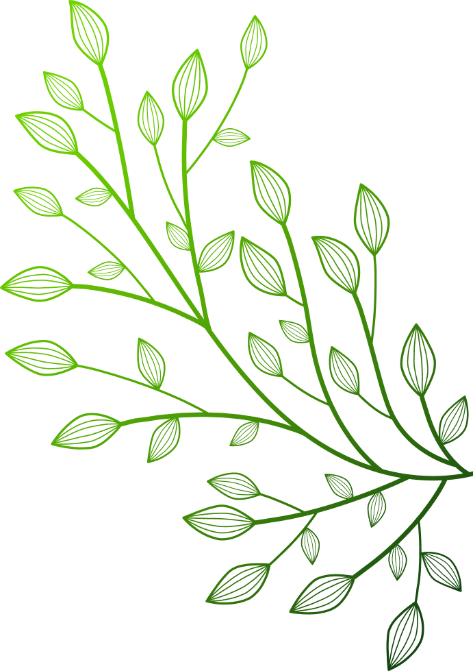 Leaf illustration from the SRM Pharma visual language