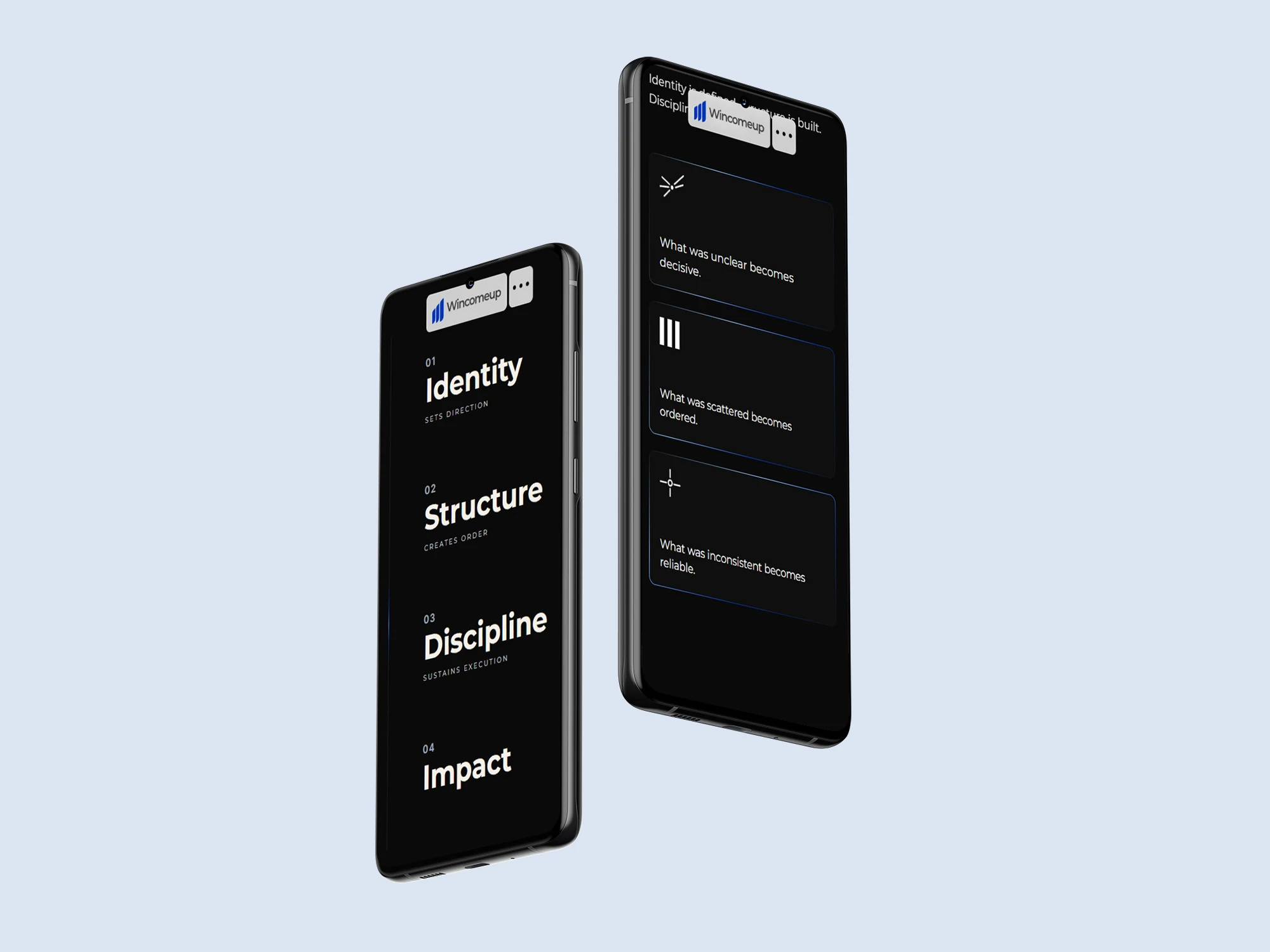 The WincomeUp site on two phones: Identity, Structure, Discipline, Impact